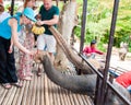 Tourists feeding the elephants with bananas before start the tours