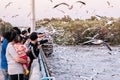 Tourists feeding food to Seagull birds flying over peaceful sea at Bang Pu, Samut Prakarn near Bangkok - Thailand Royalty Free Stock Photo