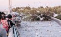 Tourists feeding food to Seagull birds flying over peaceful sea at Bang Pu, Samut Prakarn near Bangkok - Thailand Royalty Free Stock Photo