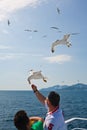 Tourists feeding gulls