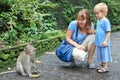 Tourists feeding monkey Royalty Free Stock Photo