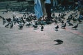 Tourists feeding pigeons