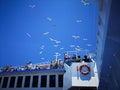 Tourists feeding seagulls on the ferryboat