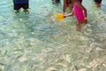 Tourist Fish Feeding On White Silica Sand Beach In Whitsundays Australia