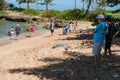 Tourists Flood Haleiwa Beach Park in Oahu Hawaii Royalty Free Stock Photo