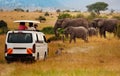 Tourists on game drive taking picture of elephants