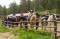 Tourists geared up for a horse ride at a famous park in Wyoming