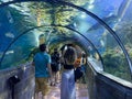 Tourists in a glass tunnel under the aquarium Royalty Free Stock Photo