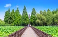 Tourists go to Jinshan Temple