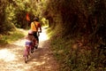 Tourists going with bycicles in touristic itinerary of national forest park