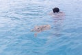 A tourists guide showing a turtle in the sea