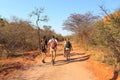 Tourists hike towards Waterberg Plateaus. Tourists hike towards Waterberg Plateaus