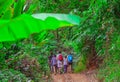 Tourists hiking in the deep jungle of the Khao Yai national park in Thailand