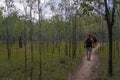 tourists hiking in kakadu national park, northern terotorry, northern territory, australia