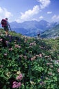 Tourists hiking on the mountains of Engelberg on the Swiss alps