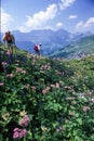 Tourists hiking on the mountains of Engelberg on the Swiss alps