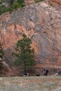 Tourists hiking in Colorado Red Rocks Open Space park