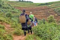 Tourists hiking in Sa Pa, Vietnam Royalty Free Stock Photo