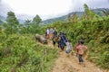 Tourists hiking in Sa Pa, Vietnam Royalty Free Stock Photo