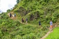 Tourists hiking in Sa Pa, Vietnam Royalty Free Stock Photo