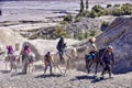 Tourists Horse riding services at Mount Bromo