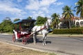 Tourists on a horse taxi in Varadero