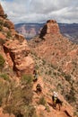 Tourists on horses in the Grand Canyon, USA