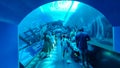 Tourists Inside The Glass Tunnel Of S.E.A. Aquarium In Sentosa Island, Singapore. Royalty Free Stock Photo