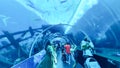 Tourists Inside The Glass Tunnel Of S.E.A. Aquarium In Sentosa Island, Singapore. Royalty Free Stock Photo