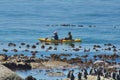 Tourists kayaking at Boulder Beach