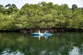 Tourists kayaking through the mangrove forests along the canals on Koh Kood, Trat Province