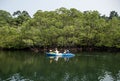 Tourists kayaking through the mangrove forests along the canals on Koh Kood, Trat Province