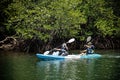 Tourists kayaking through the mangrove forests along the canals on Koh Kood, Trat Province