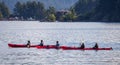 Tourists kayaking in marina in Alaska