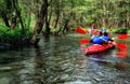 Tourists kayaking on river in the forest
