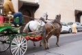 Tourists and locals ride in horse-drawn carriages through vibrant streets Marrakech, authentic and lively city life African