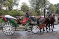 Tourists and locals ride in horse-drawn carriages through vibrant streets Marrakech, authentic and lively city life African