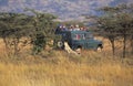 Tourists looking at Cheetah, acinonyx jubatus, Mother and Cub, Photo Safari at Masai Mara Parc in Kenya