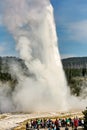 Tourists looking at the Old Faithful Geyser. Yellowstone National Park. Wyoming. USA. Royalty Free Stock Photo