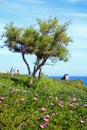 Tourists looking at the view at Blue Grotto, Malta.