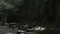 Tourists looks at rocks and jungle. Creative. Mother and child hiking in jungle. Hikers with child walk in wild green Royalty Free Stock Photo