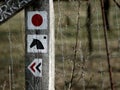 Tourists` mark on a wooden column.