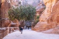 Tourists in narrow passage of rocks of Petra canyon in Jordan. Petra has been a UNESCO World Heritage Site since 1985. Royalty Free Stock Photo