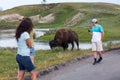 Tourists Next to a Large Bison Royalty Free Stock Photo