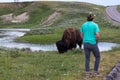 Tourists Next to a Large Bison Royalty Free Stock Photo