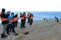 Tourists observe Magellanic penguins on Magdalena island in the Strait of Magellan near Punta Arenas. Royalty Free Stock Photo