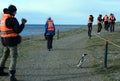 Tourists observe Magellanic penguins on Magdalena island in the Strait of Magellan near Punta Arenas. Royalty Free Stock Photo