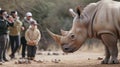 Tourists Observing a Grazing Rhinoceros Close-up Royalty Free Stock Photo