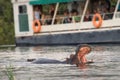 Tourists observing an hippo on the Zambeze river Royalty Free Stock Photo