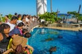 Tourists observing turtles in big tank at The Project Tamar